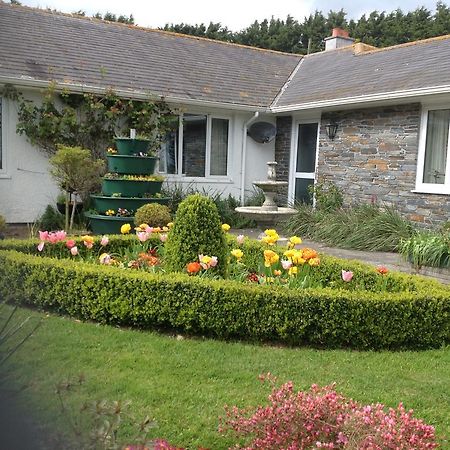 Estuary View Farm Bed & Breakfast Kingsbridge  Bagian luar foto