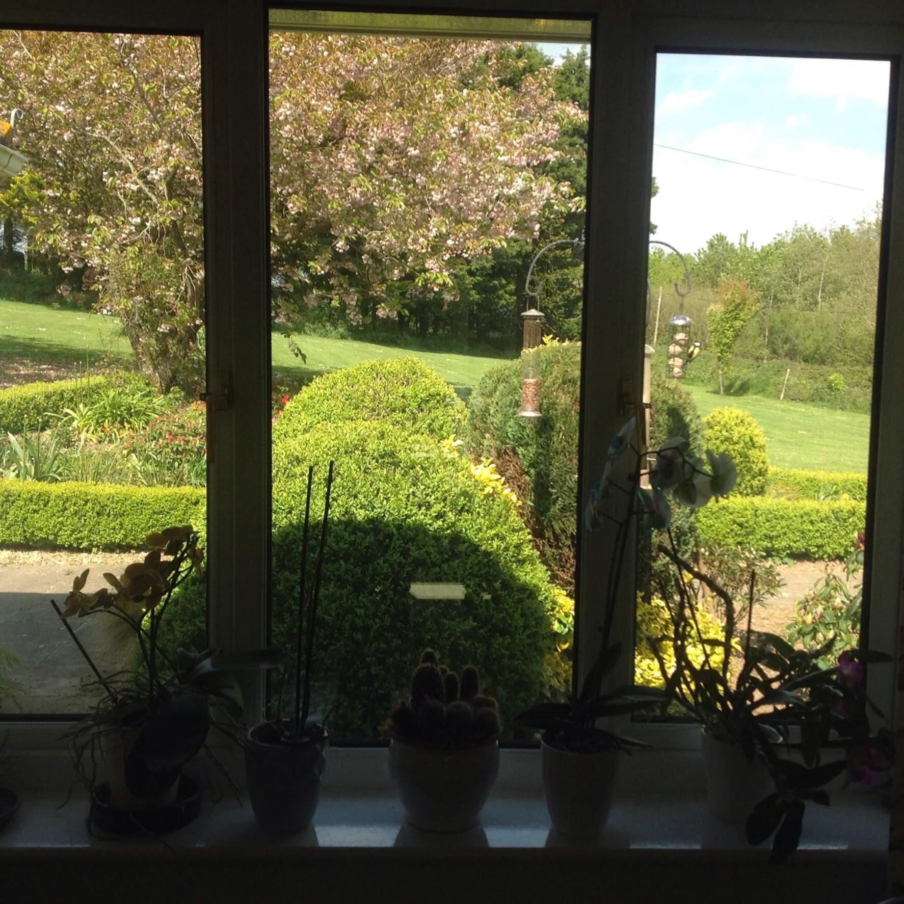 Estuary View Farm Bed & Breakfast Kingsbridge  Bagian luar foto