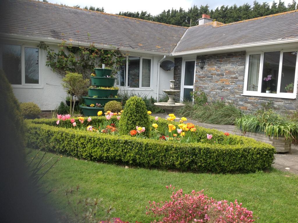 Estuary View Farm Bed & Breakfast Kingsbridge  Bagian luar foto